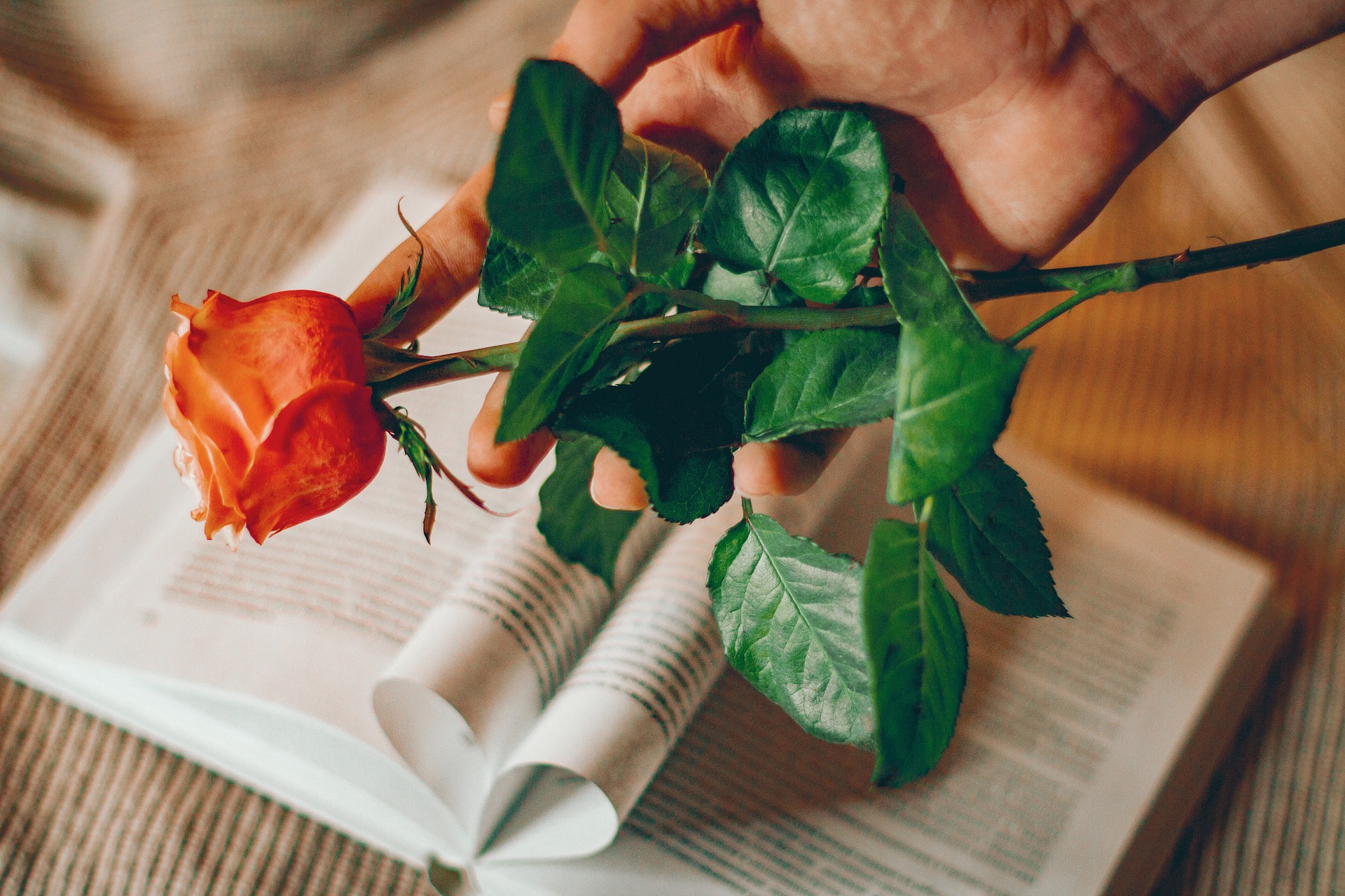 Milyen nőies ajándékokat vegyünk Andrea névnapra?